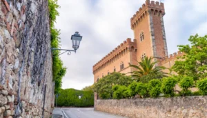 Tuscany Wine + Olive Oil Tour (Bolgheri Castle)